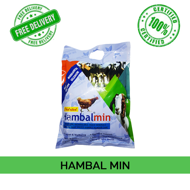 Hambal-Min-Dr-Goels